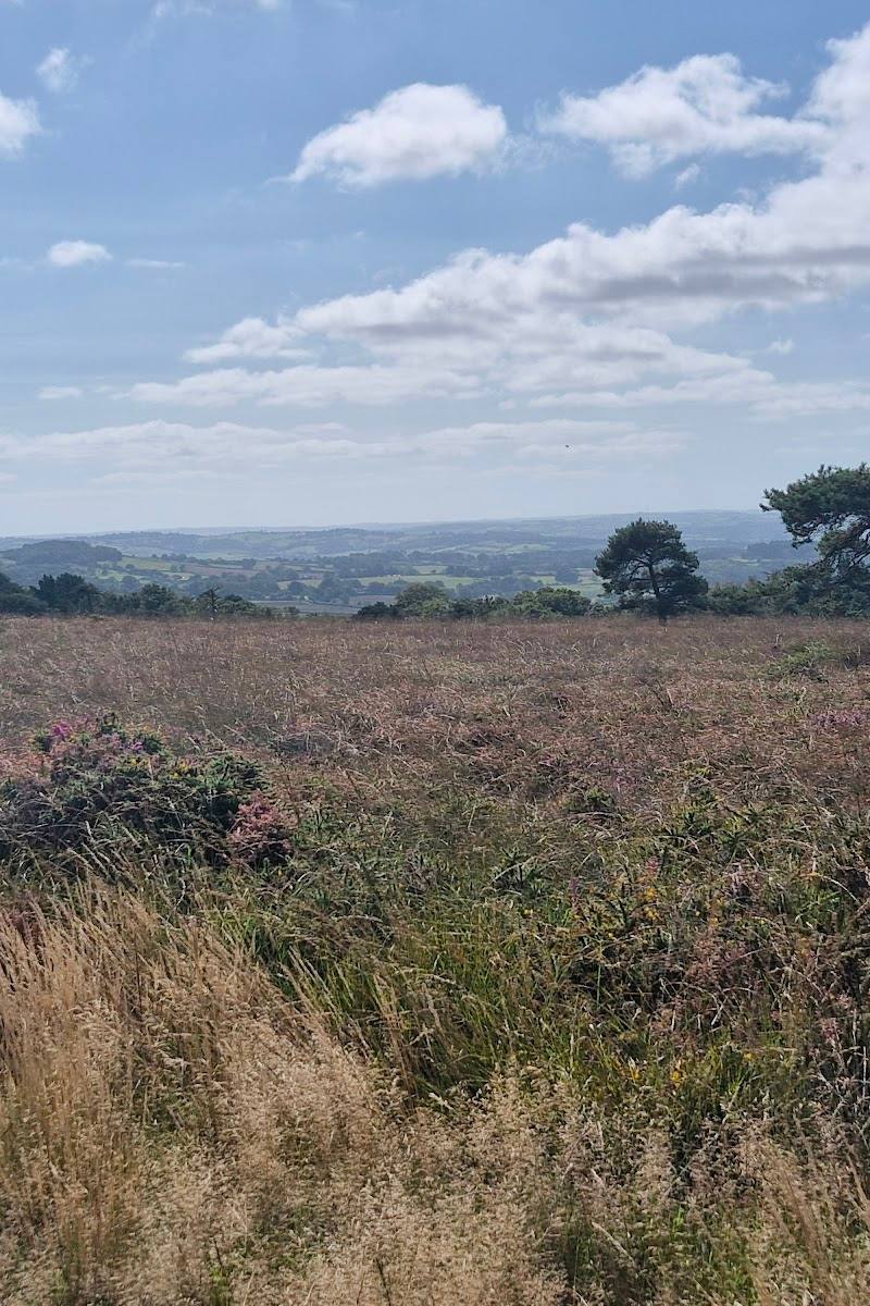 Ideford Common — Place photograph