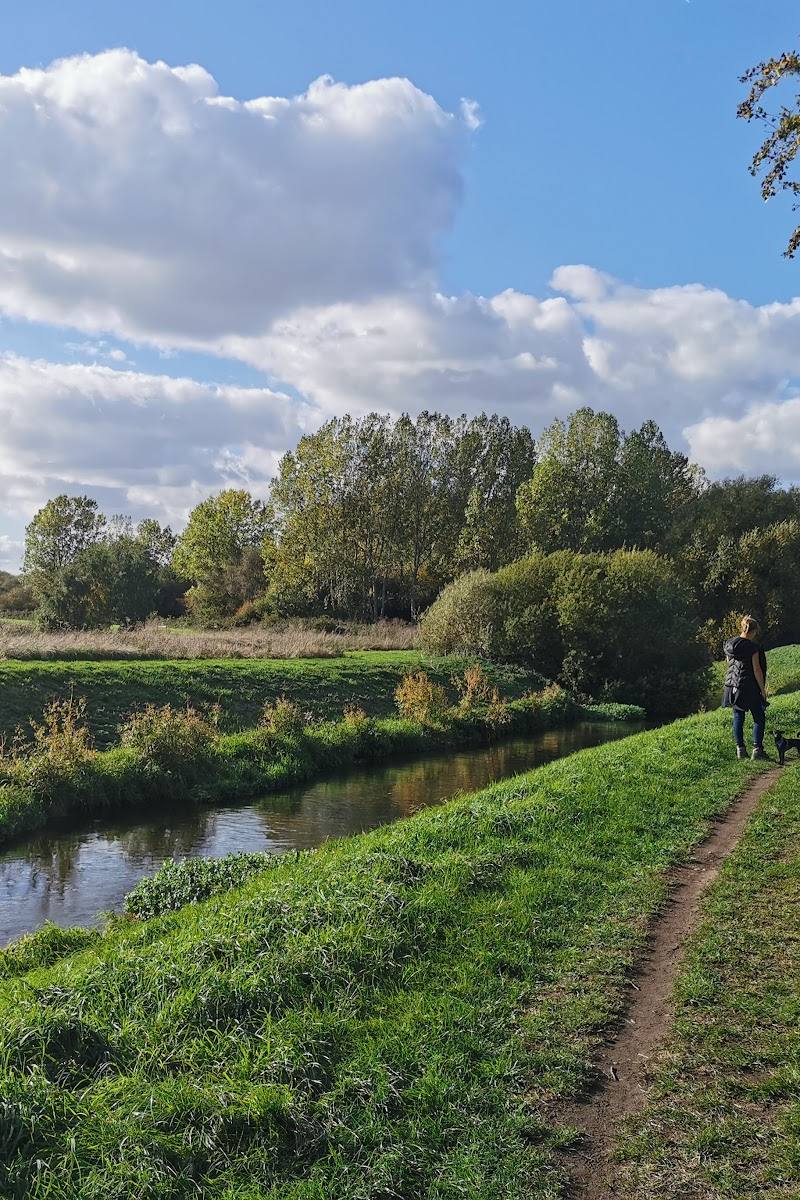 Idle Valley Nature Reserve (Nottinghamshire Wildlife Trust)