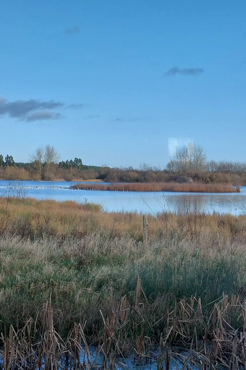 Idle Valley Nature Reserve (Nottinghamshire Wildlife Trust)