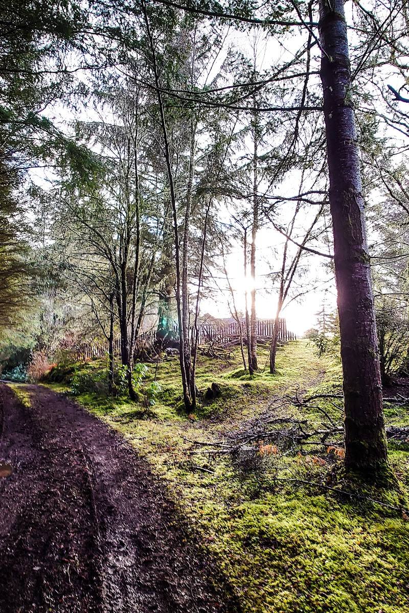 Inverfarigaig (Farigaig Woods) — Place photograph