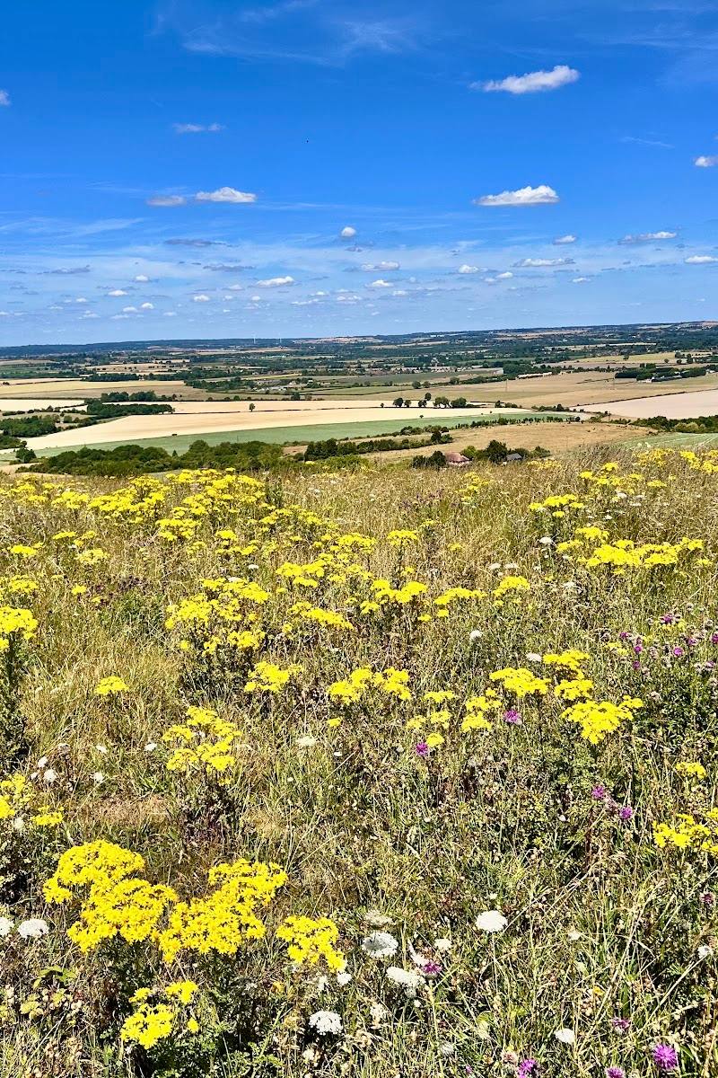 Ivinghoe Beacon