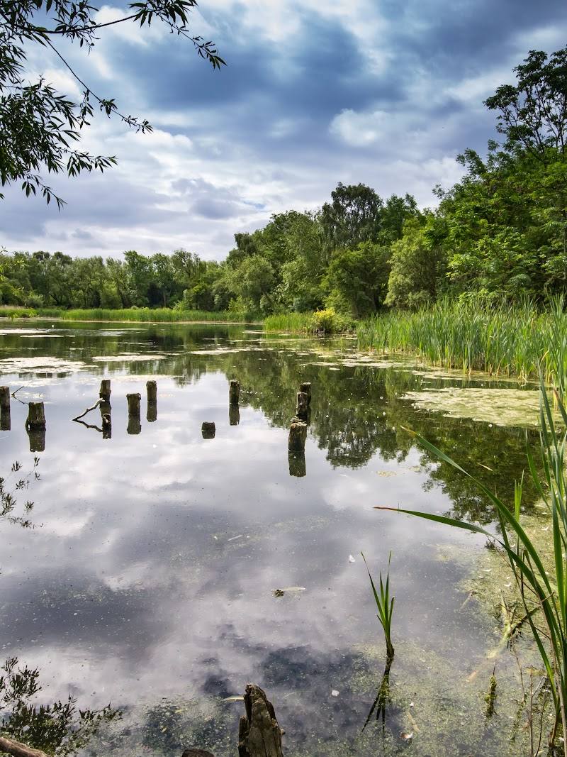Joe’s Pond — Place photograph