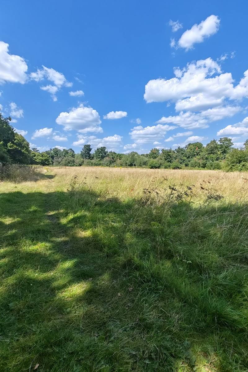 Jubilee Meadow (Hanwell Meadows) — Place photograph