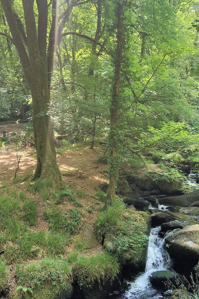 Kennall Vale Nature Reserve — Place photograph