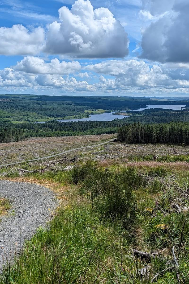 Kielder Forest