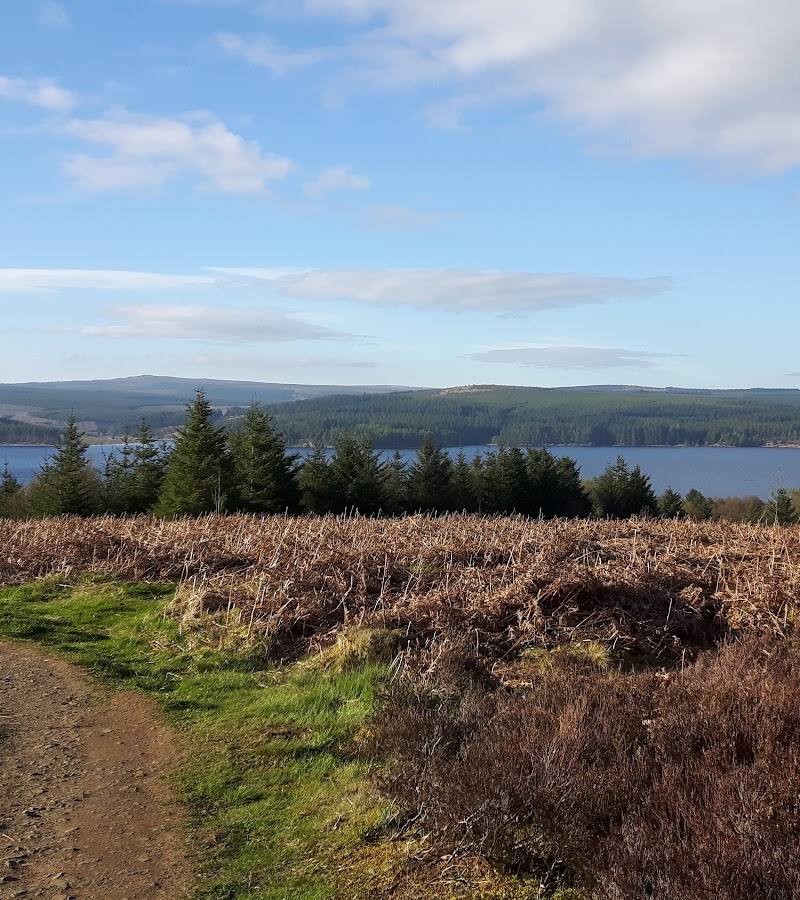 Kielder Forest — Place photograph