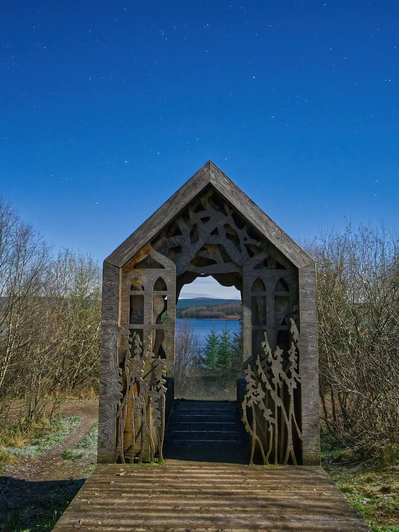 Kielder Forest