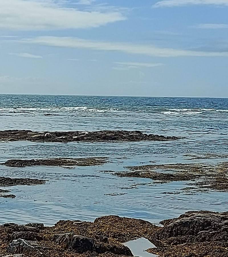 Kildonan Beach — Place photograph (3 of 3)