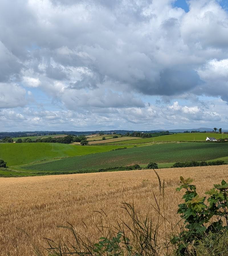 Killynether Wood — Place photograph