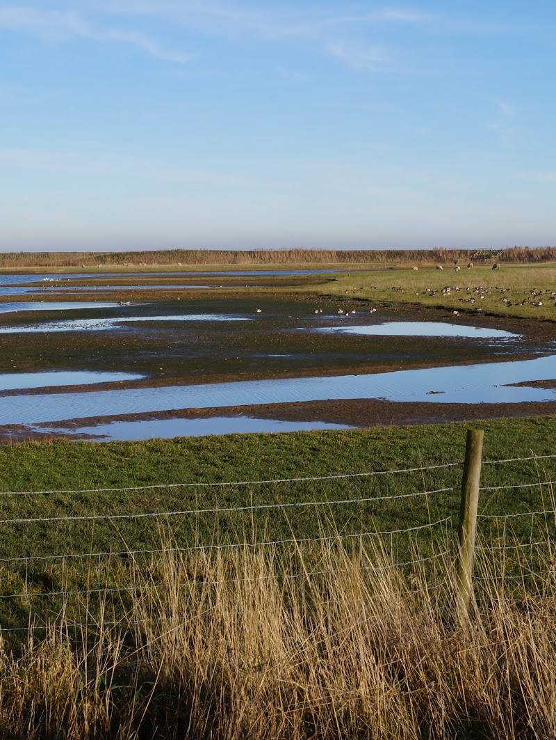 Kilnsea Wetlands — Place photograph