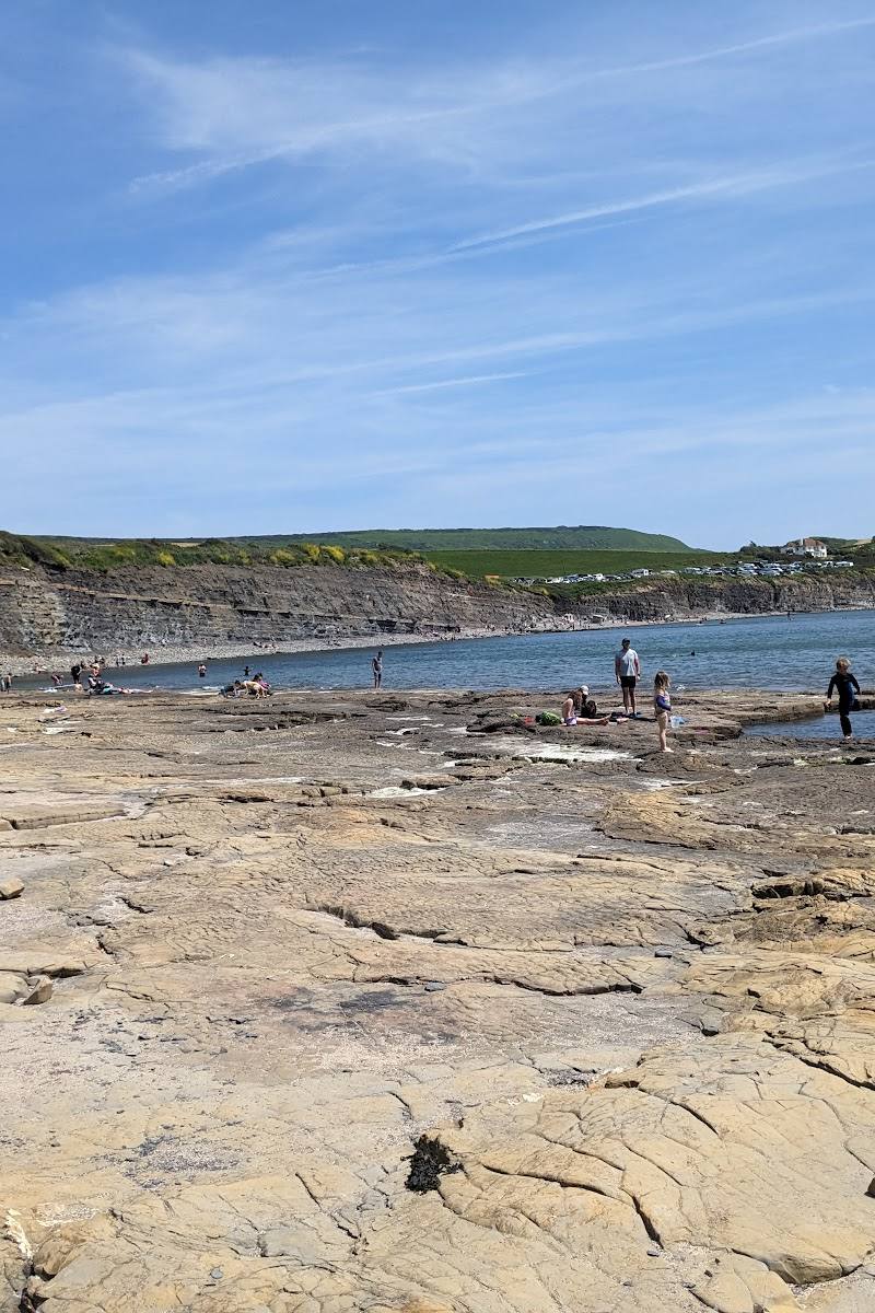 Kimmeridge Bay