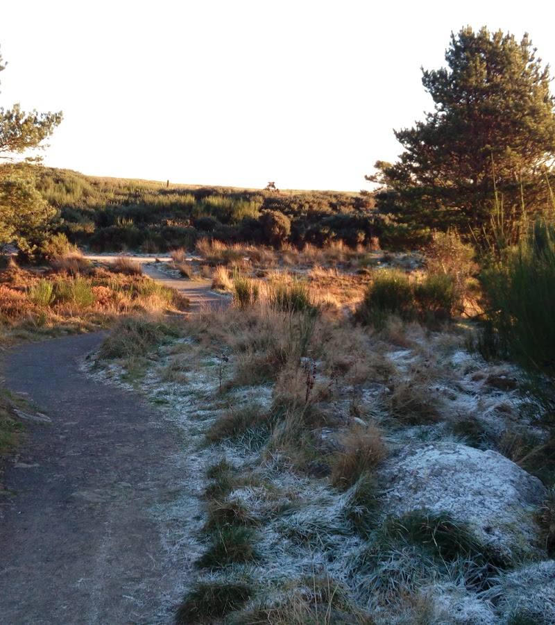 Kincorth Hill Local Nature Reserve — Place photograph