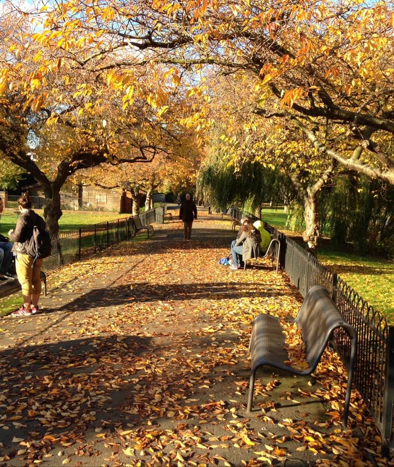 King George’s Park — Source image