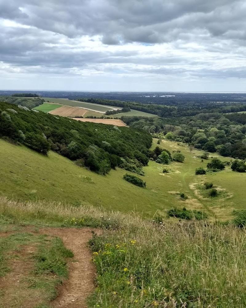 Kingley Vale National Nature Reserve — Source image