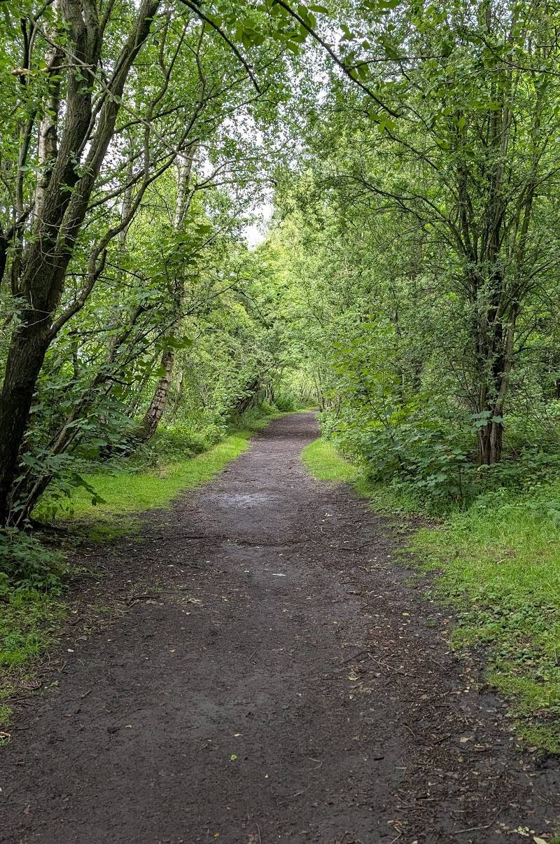 Kingmoor South Nature Reserve — Place photograph