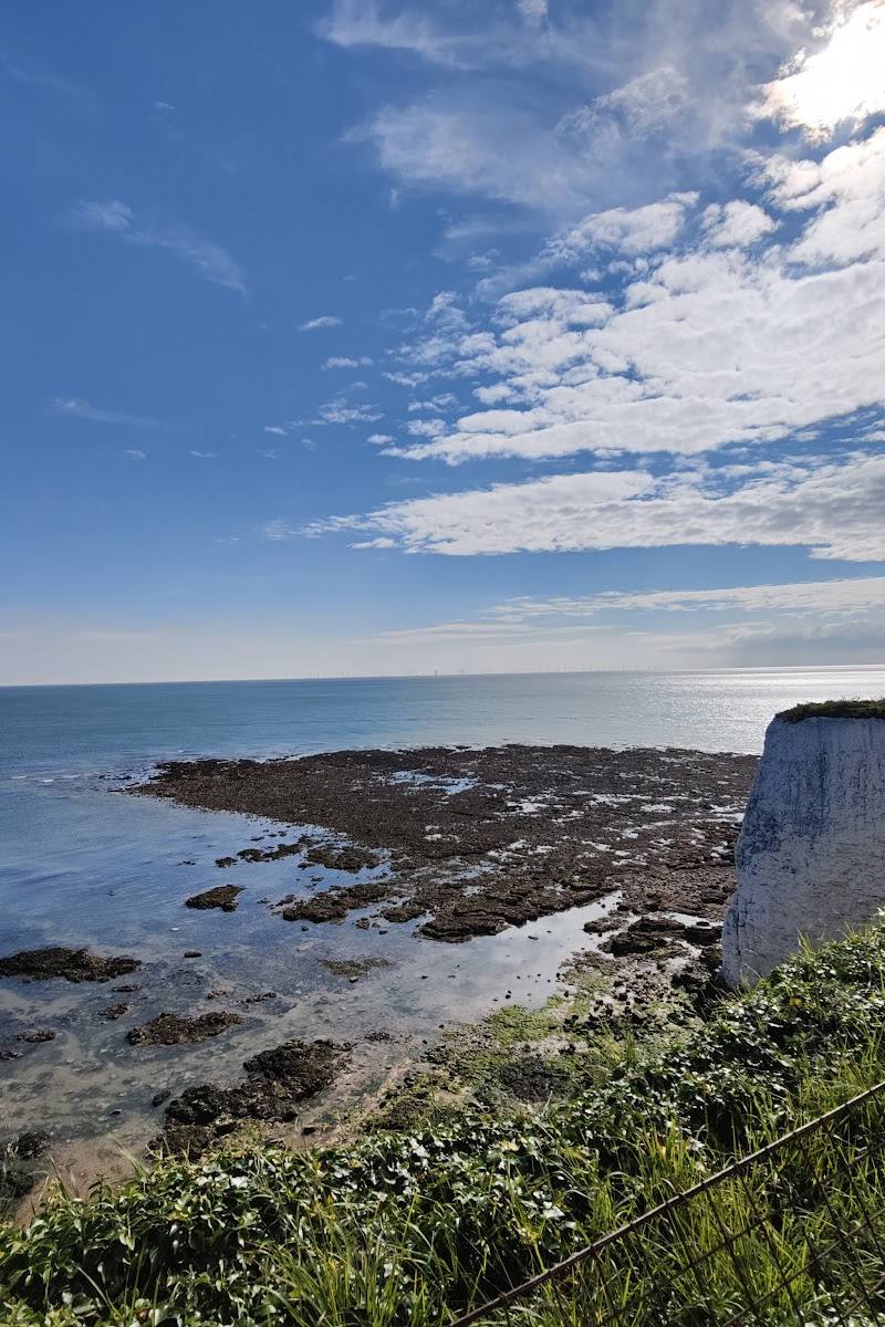 Kingsgate Bay — Place photograph (2 of 3)