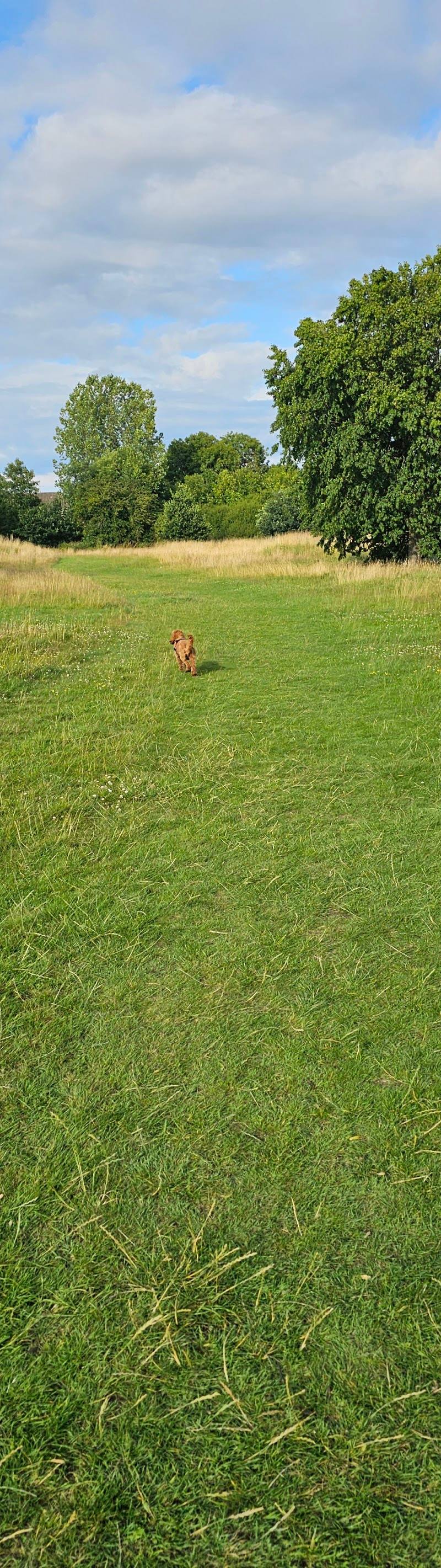 Kirby Frith Local Nature Reserve — Place photograph (1 of 3)