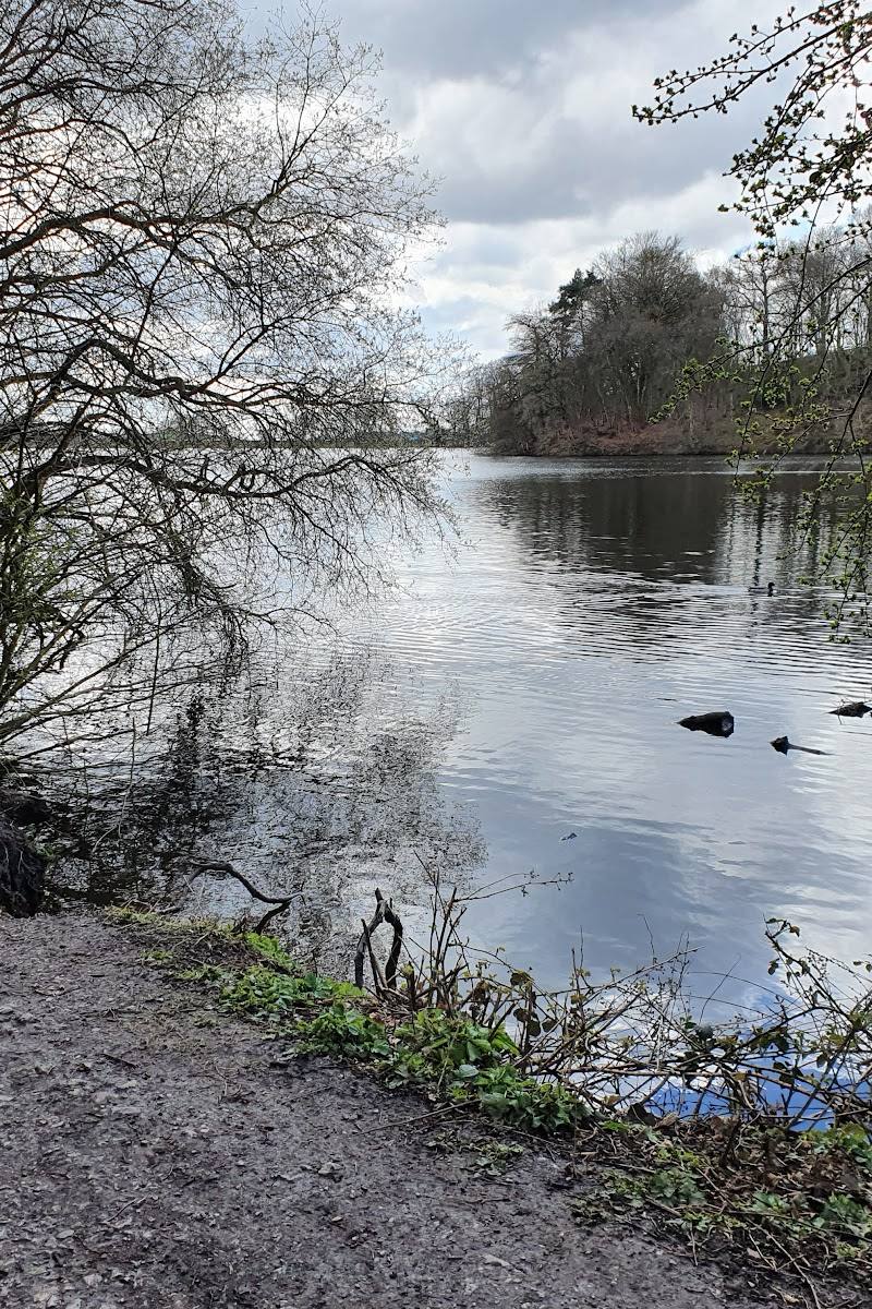 Knypersley Reservoir — Place photograph