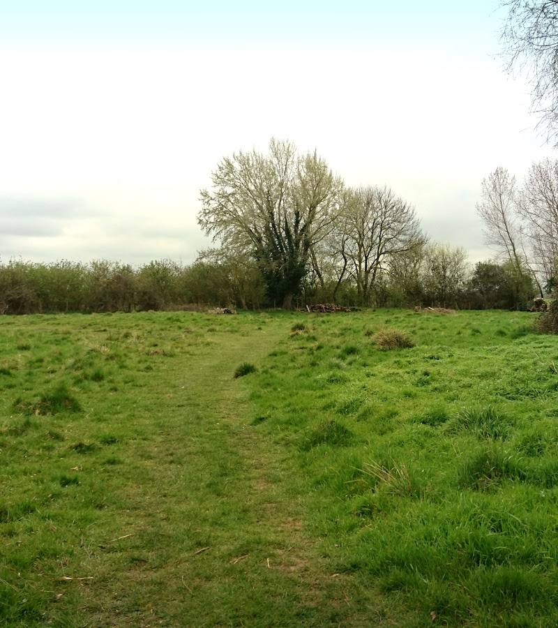 L-Moor, Shepreth — Place photograph