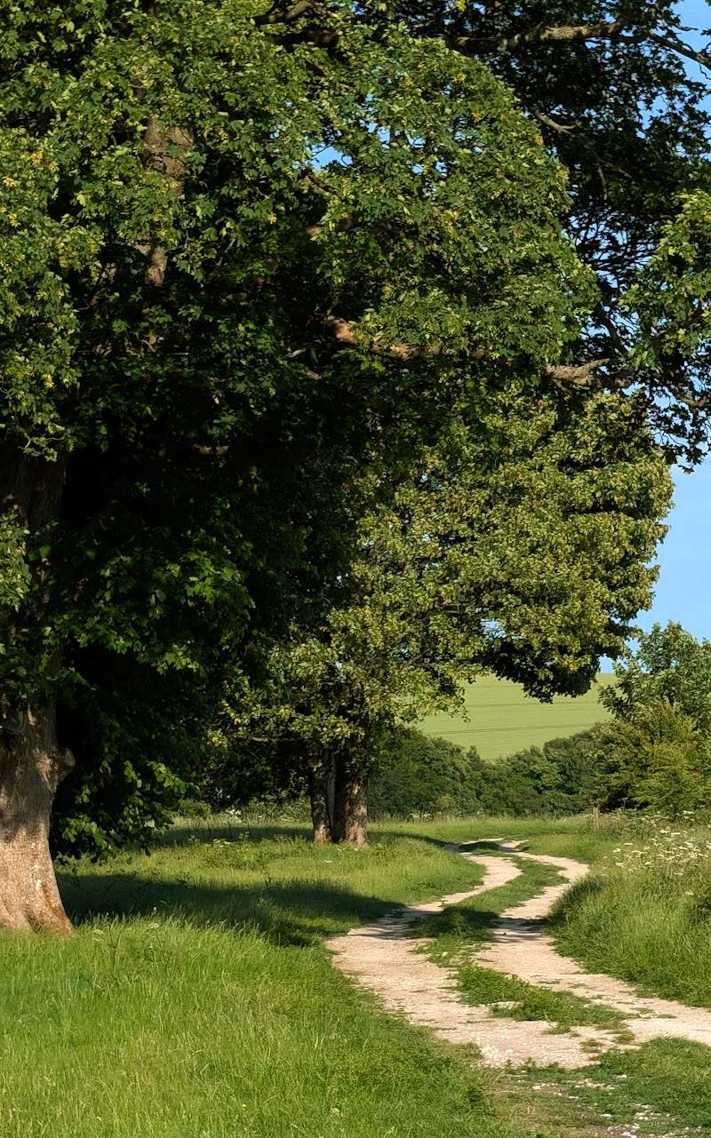 Ladle Hill Fort