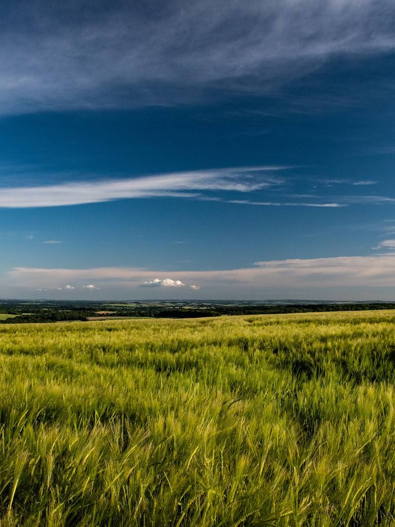 Ladle Hill Fort