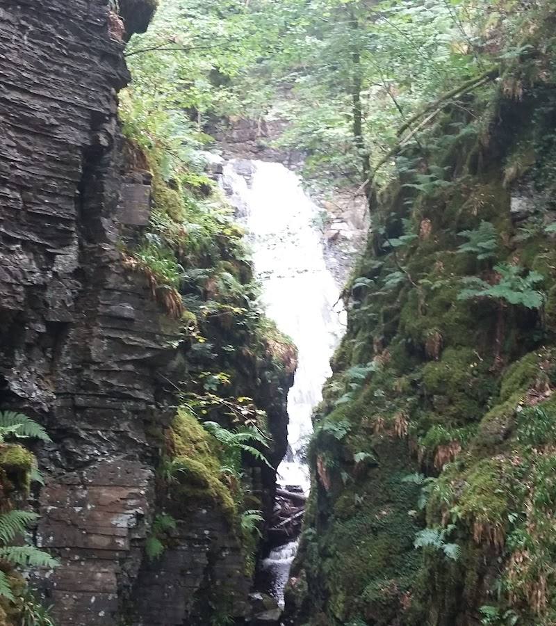Lael Forest Garden