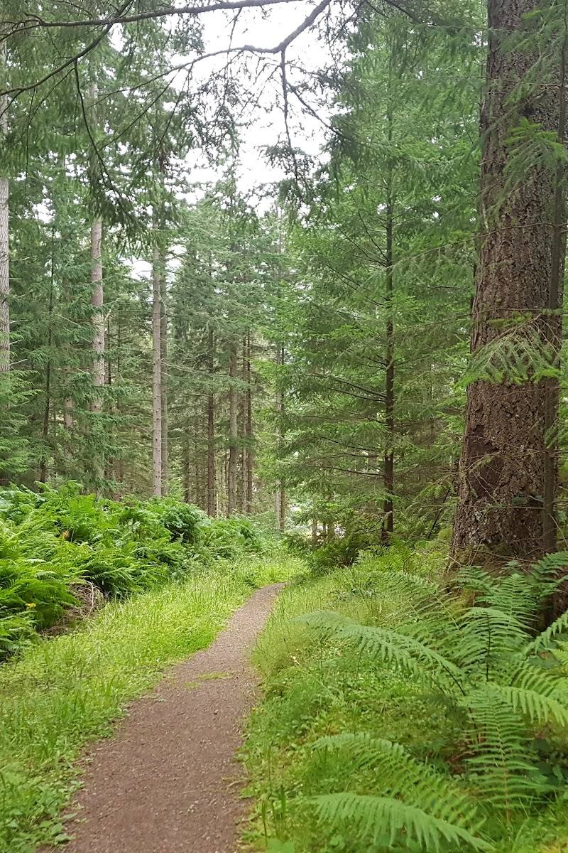 Lael Forest Garden