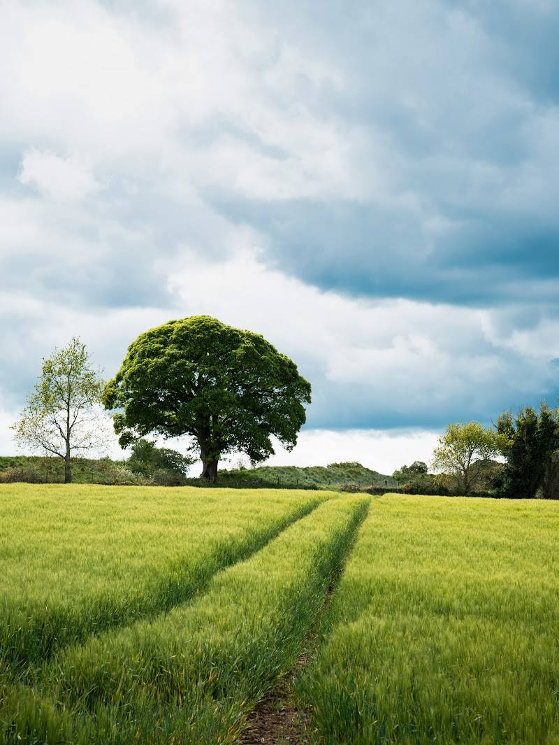 Lagan Valley Area of Outstanding Natural Beauty — Place photograph
