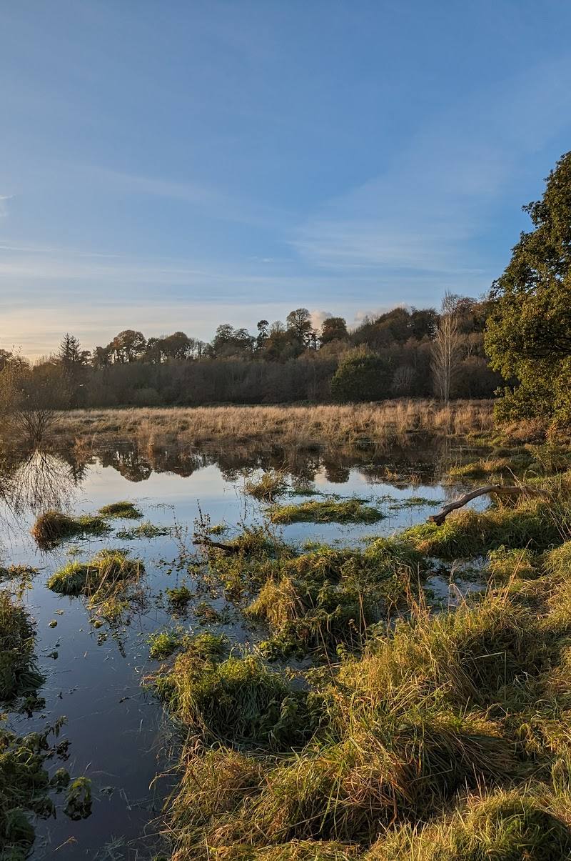 Lagan Valley Area of Outstanding Natural Beauty