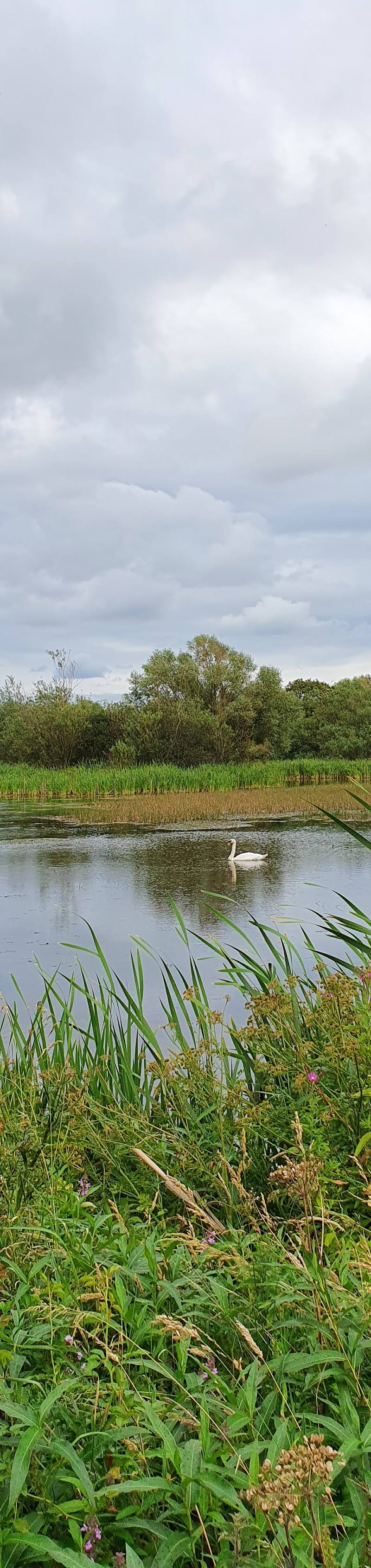 Lake Wiseman — Place photograph