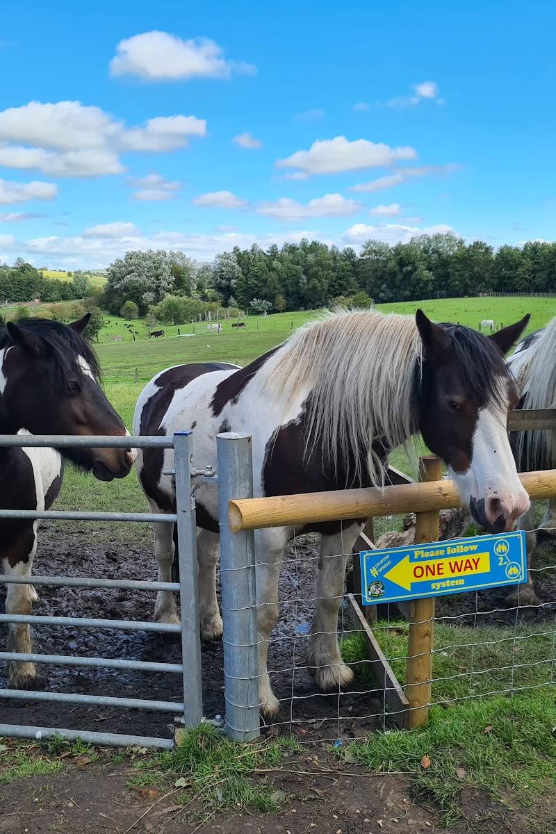 Lancaster Park & Animal Farm — Place photograph (3 of 3)