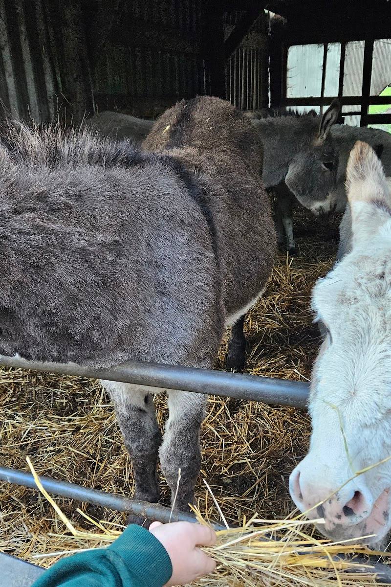 Lancaster Park & Animal Farm — Place photograph (2 of 3)