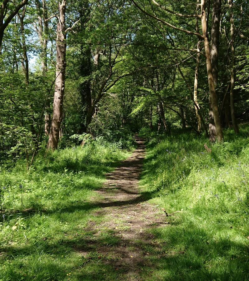 Langdon Nature Discovery Park — Source image
