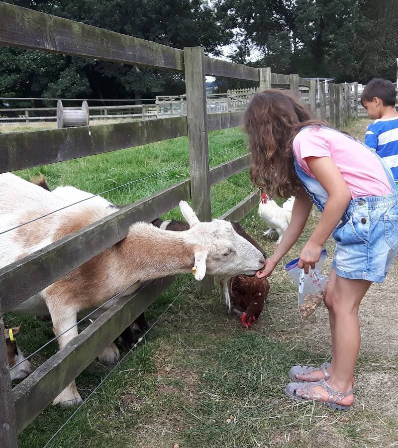 Langleybury Children's Farm — Place photograph (1 of 3)