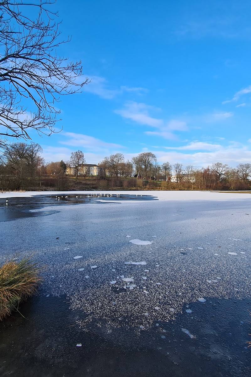 Larbert Loch — Place photograph (1 of 3)