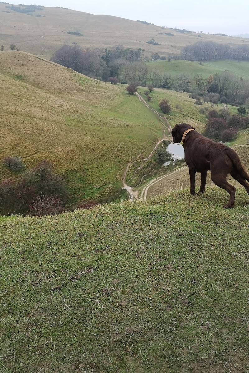 Leckhampton Hill — Place photograph (3 of 3)