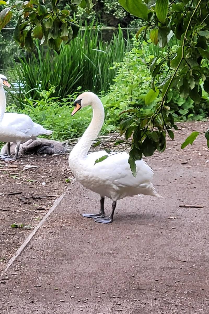Lee Valley Regional Park Authority — Place photograph (2 of 3)