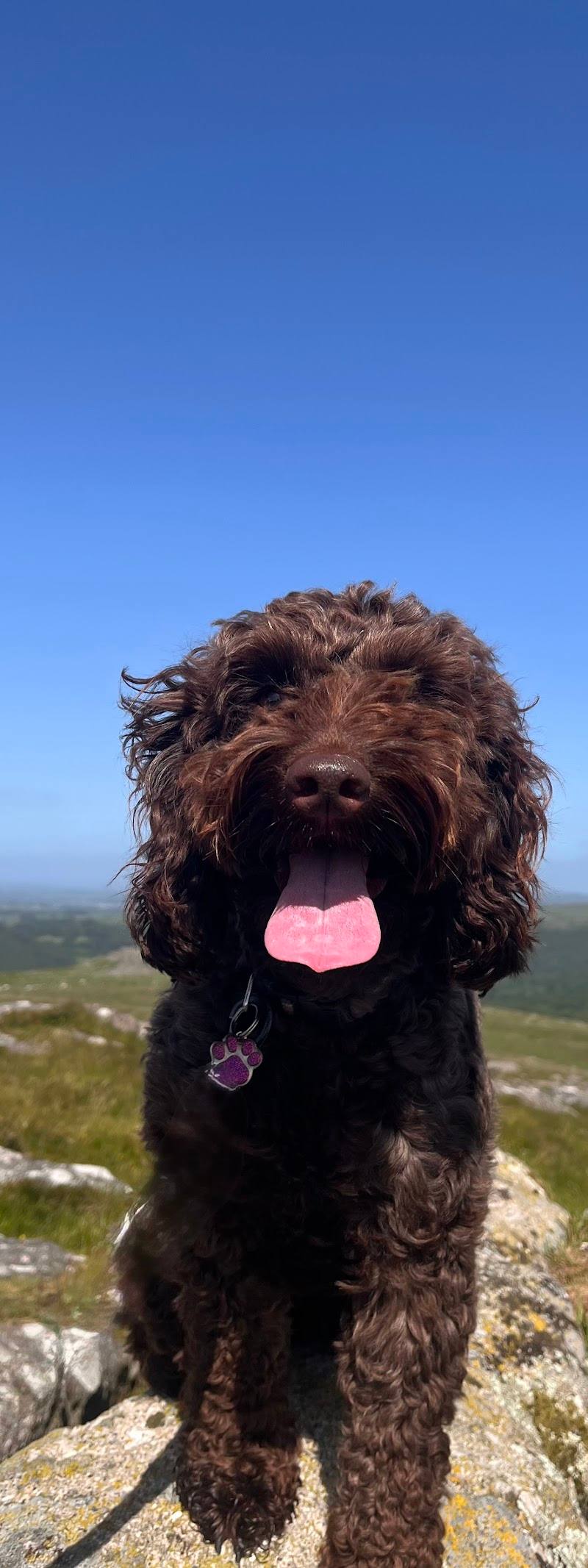Leeden Tor — Place photograph (3 of 3)