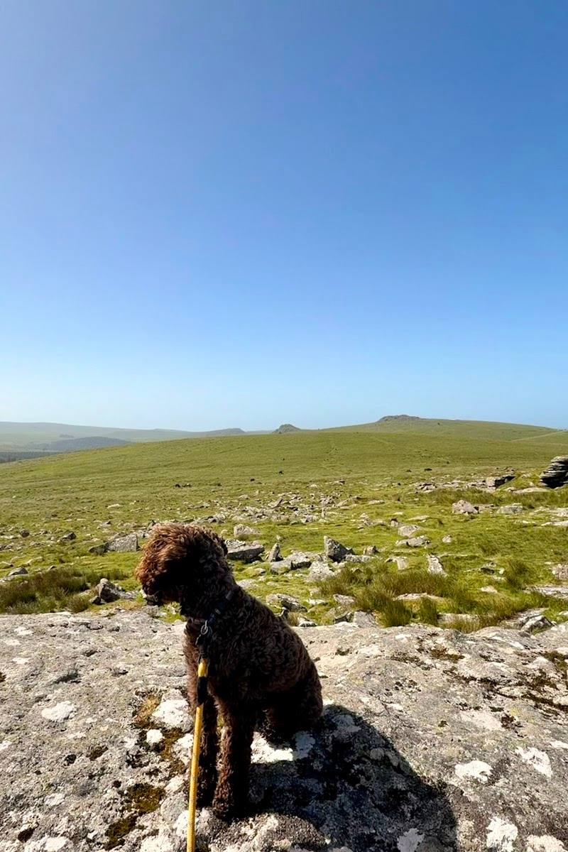Leeden Tor — Place photograph