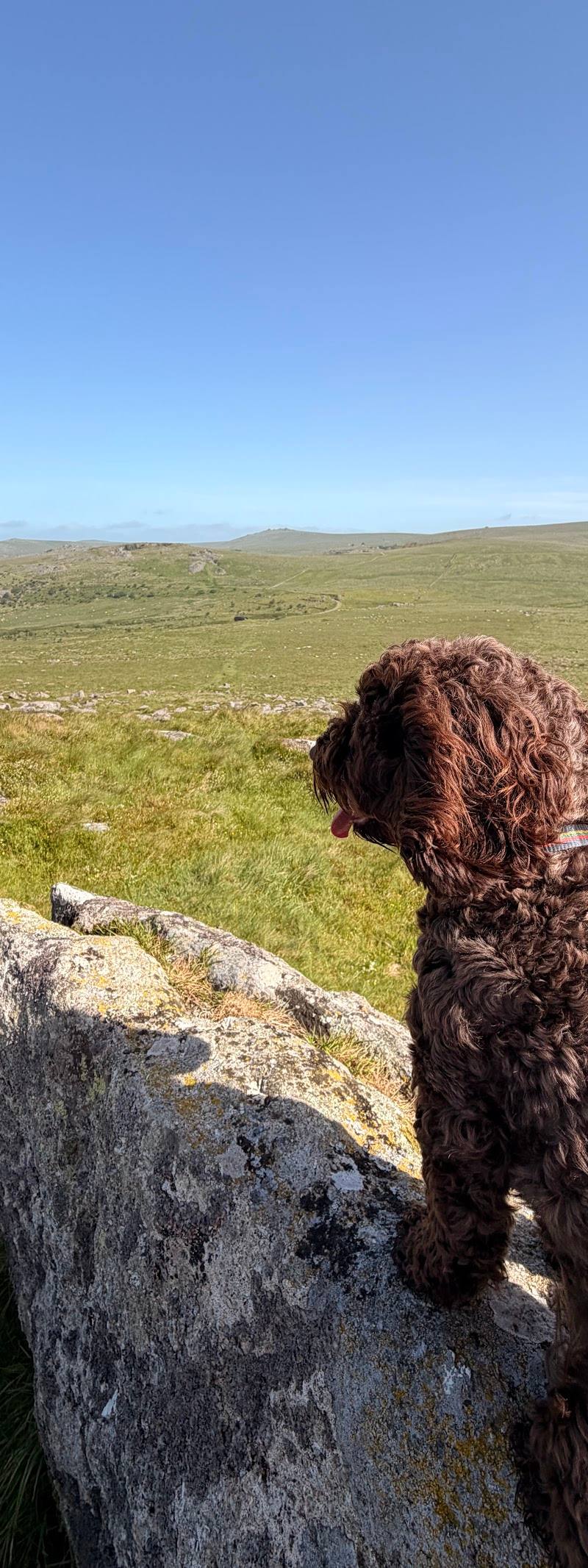 Leeden Tor — Place photograph (2 of 3)