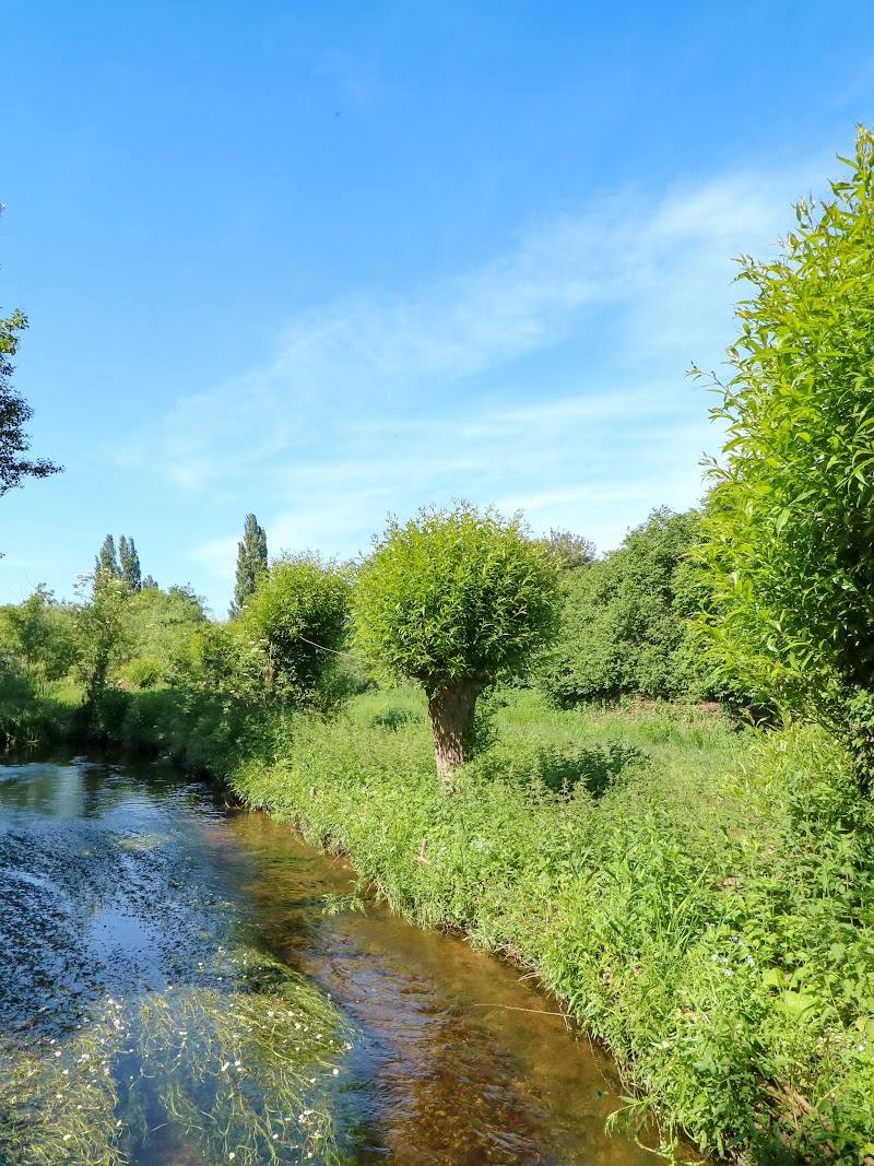 Lemsford Springs — Place photograph