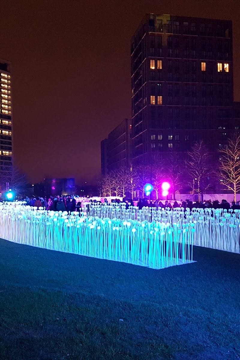 Lewis Cubitt Park