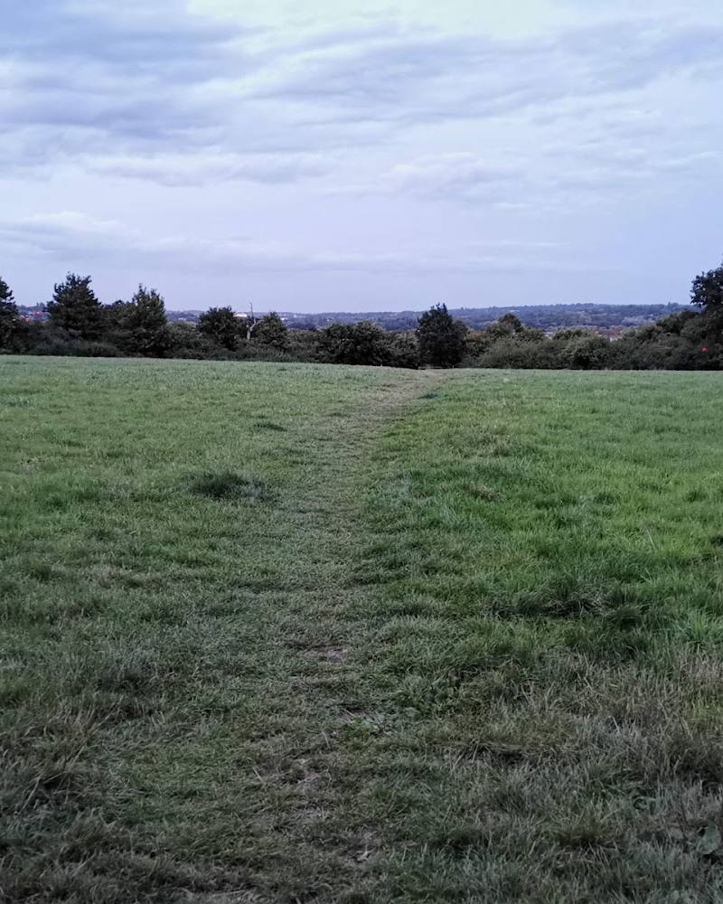 Linder’s Field Local Nature Reserve — Source image