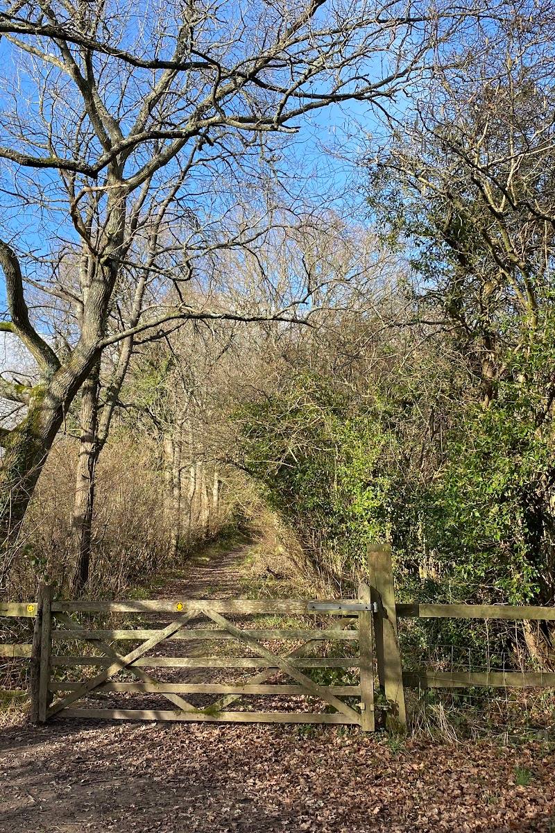 Little Foxes Copse 1.9-mile walk — Place photograph