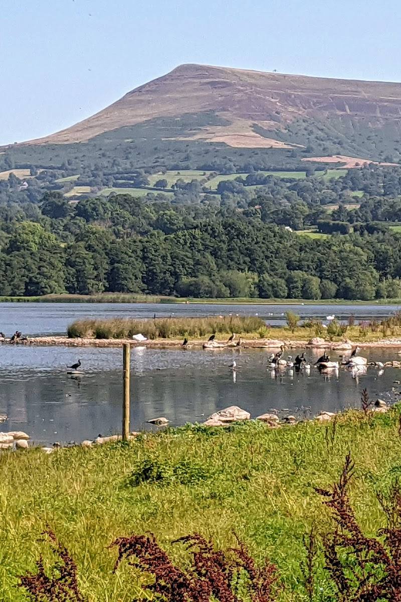Llangorse Lake