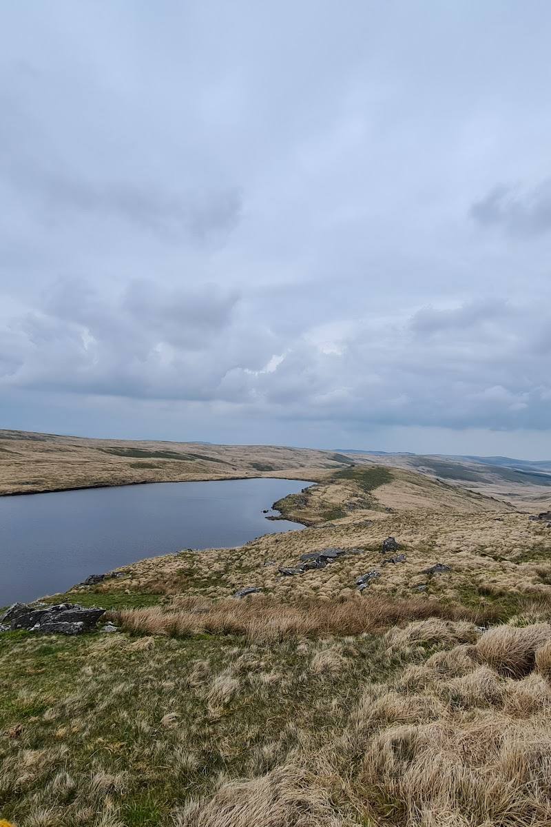 Llyn Cerrigllwydion Isaf — Place photograph