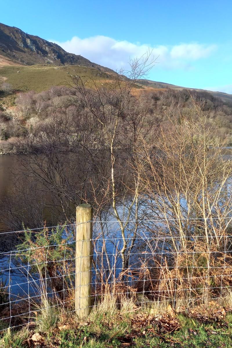 Llyn Crafnant