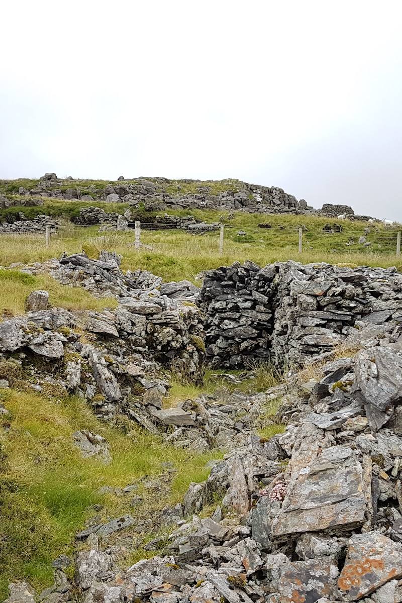 Llyn Eiddew-mawr