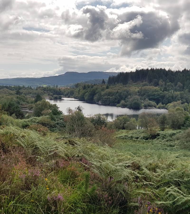 Llyn Elsi