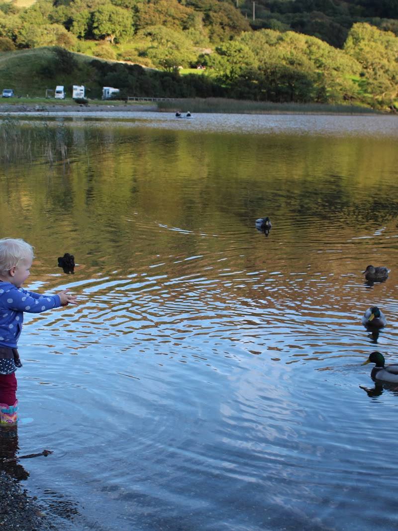 Llyn Gwynant Campsite — Place photograph (3 of 3)